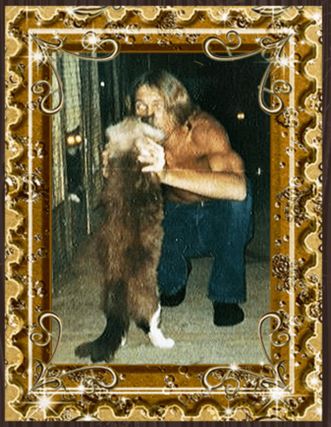 ann baker kyoto ragdoll