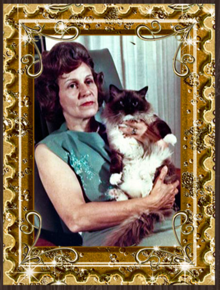 ann baker éleveuse ragdoll