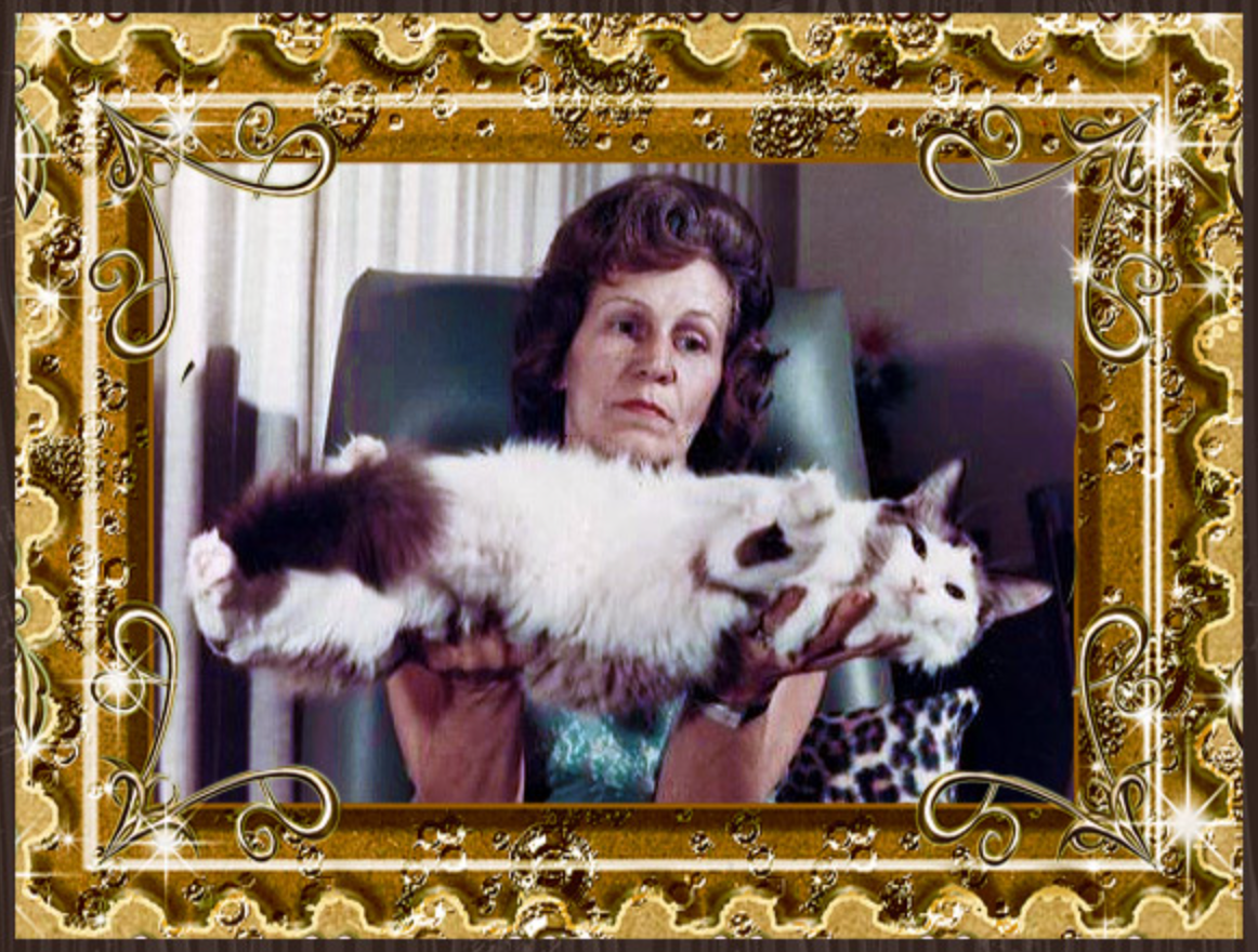 ann baker et un ragdoll bicolore